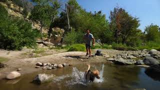 Sequoia National Forest
