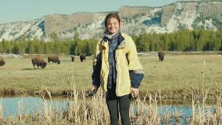 Yellowstone